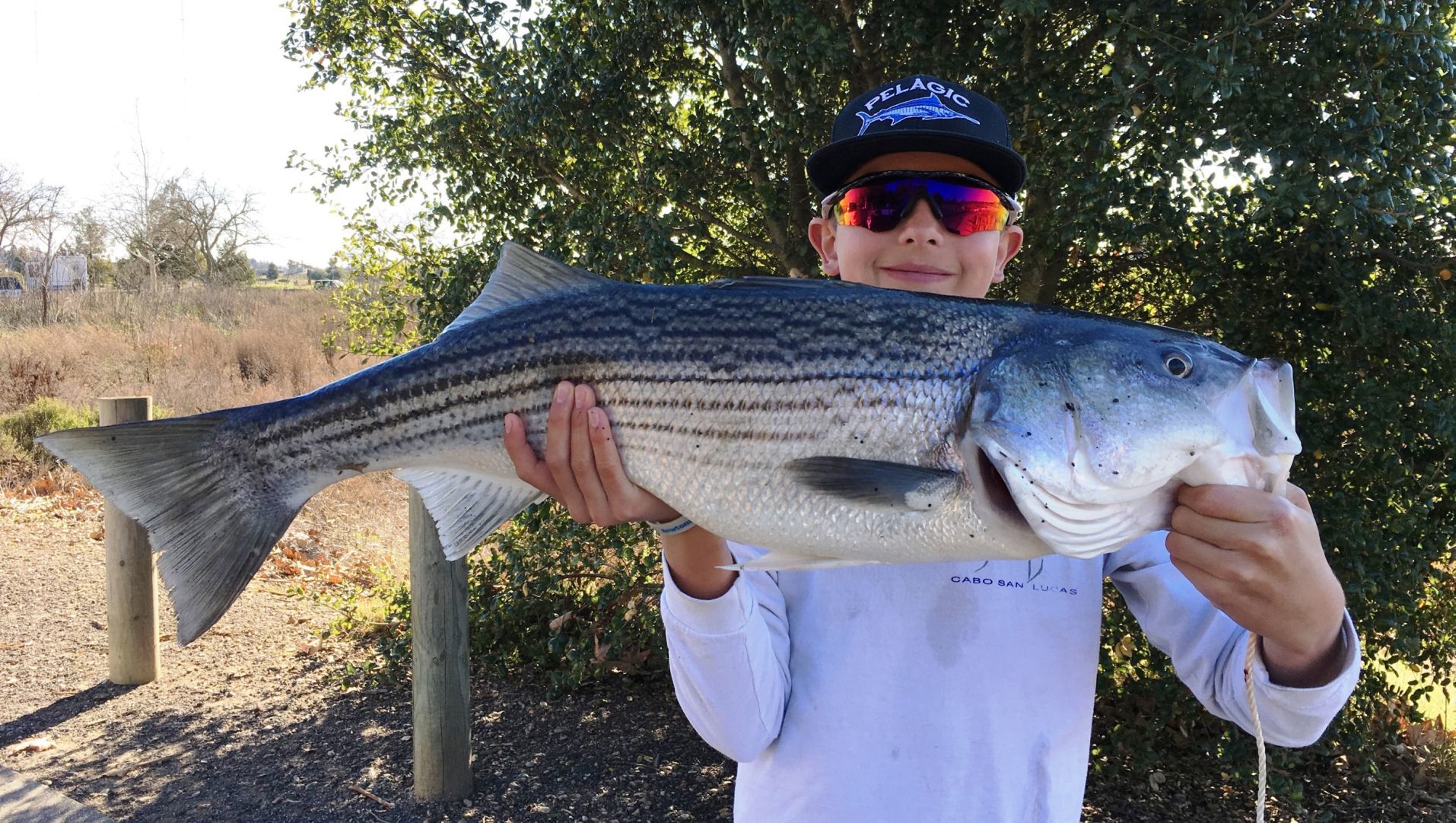 Bragging Rights: Lucas Avina